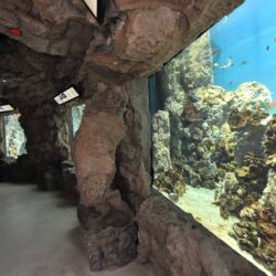 ©Acquario Livorno