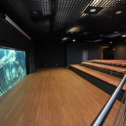 ©Acquario Livorno