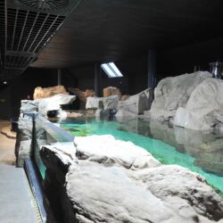 ©Acquario Livorno