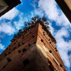 flickr.com/Enrico Strocchi