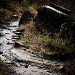 flickr.com/David Denicolo