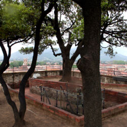 flickr.com/Graeme Maclean