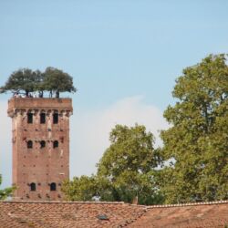 flickr.com/Kevin Armstrong