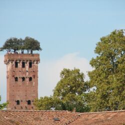 flickr.com/Kevin Armstrong