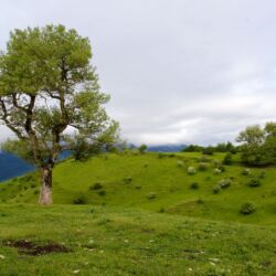 Parco Foreste Casentinesi/Alessandro Cappuccioni