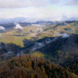 Parco Foreste Casentinesi/Fabio liverani