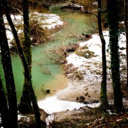 flickr.com/David Denicolo