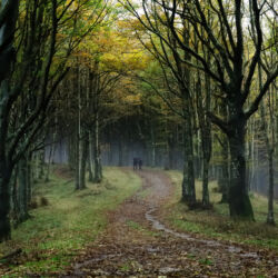 flickr.com/Enrico Stroncchi