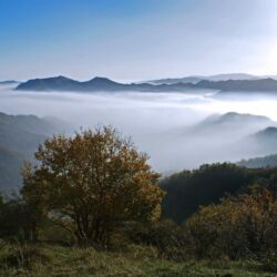 Parco Foreste Casentinesi/Giordano Giacomini