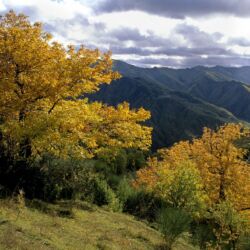 Parco Foreste Casentinesi/ Luciano Piazza