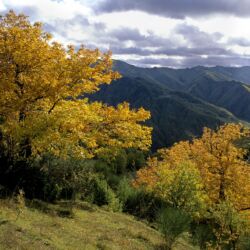 Parco Foreste Casentinesi/ Luciano Piazza