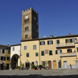 ©TFC_Virginia Ciabatti