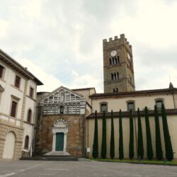 ©TFC_Virginia Ciabatti