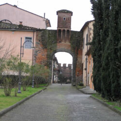 ©TFC_Virginia Ciabatti