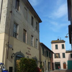 ©TFC_Virginia Ciabatti