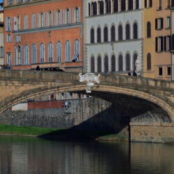 flickr.com/Alejandro