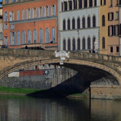 flickr.com/Alejandro