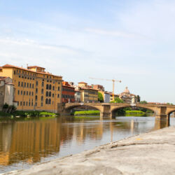 flickr.com/Sarah Rose