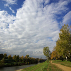 flickr.com/Alessandro Morandi