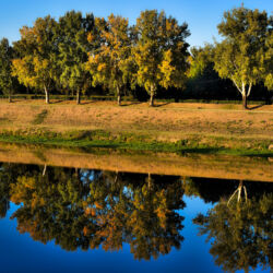 flickr.com/davide graceffa