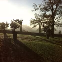 ©Villa Buoninsegna