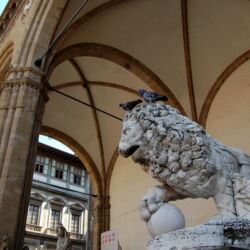 flickr.com/ Ilia Bogin