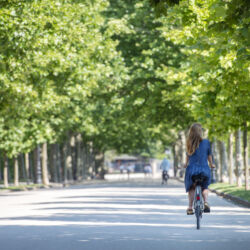 CC by-nc-sa_Roberto Giomi