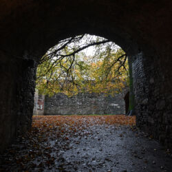 CC by-nc-sa_Roberto Giomi