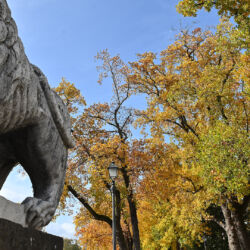 CC by-nc-sa_Roberto Giomi