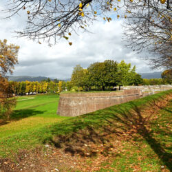 CC by-nc-sa_Roberto Giomi