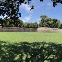 CC by-nc-sa_Roberto Giomi