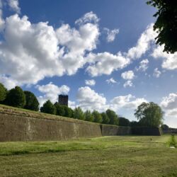 CC by-nc-sa_Roberto Giomi