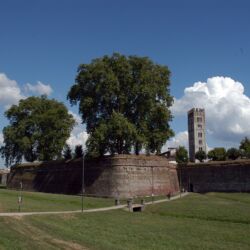 CC by-nc-sa_Roberto Giomi