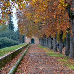 CC by-nc-sa_Roberto Giomi