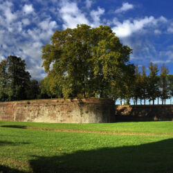 CC by-nc-sa_Roberto Giomi