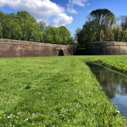 CC by-nc-sa_Roberto Giomi