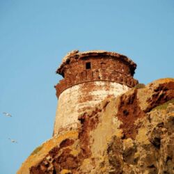 Toscana Ovunque Bella / Fabio Guidi
