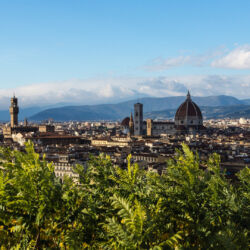 flickr.com/prinzipal