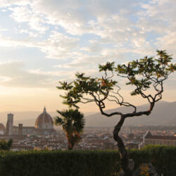 flickr.com/westsidemt