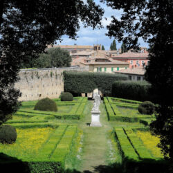 flickr.com/mickeccross