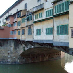 flickr.com/Aeryn ICamaleonte