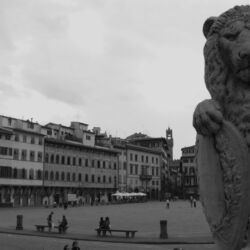 flickr.com/S-punti di vista