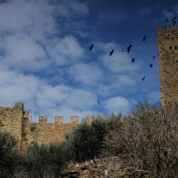 flickr.com/tuscany photos