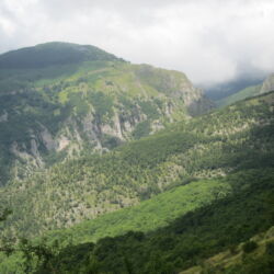 flickr.com/Stuart Pinfold