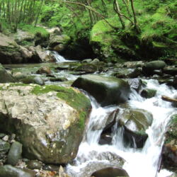 flickr.com/giàchecisono