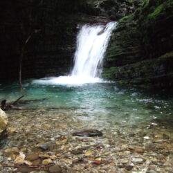 flickr.com/giàchecisono