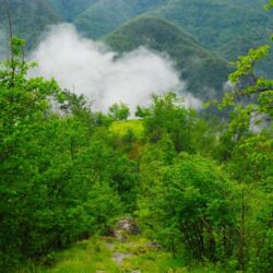 Toscana Ovunque Bella