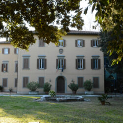 ©Museo di storia naturale del Mediterraneo