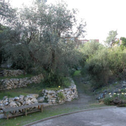 ©Museo di storia naturale del Mediterraneo