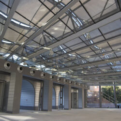 ©Museo di storia naturale del Mediterraneo